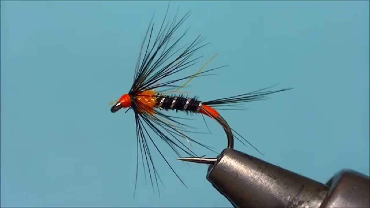 black and orange cruncher 1st clip