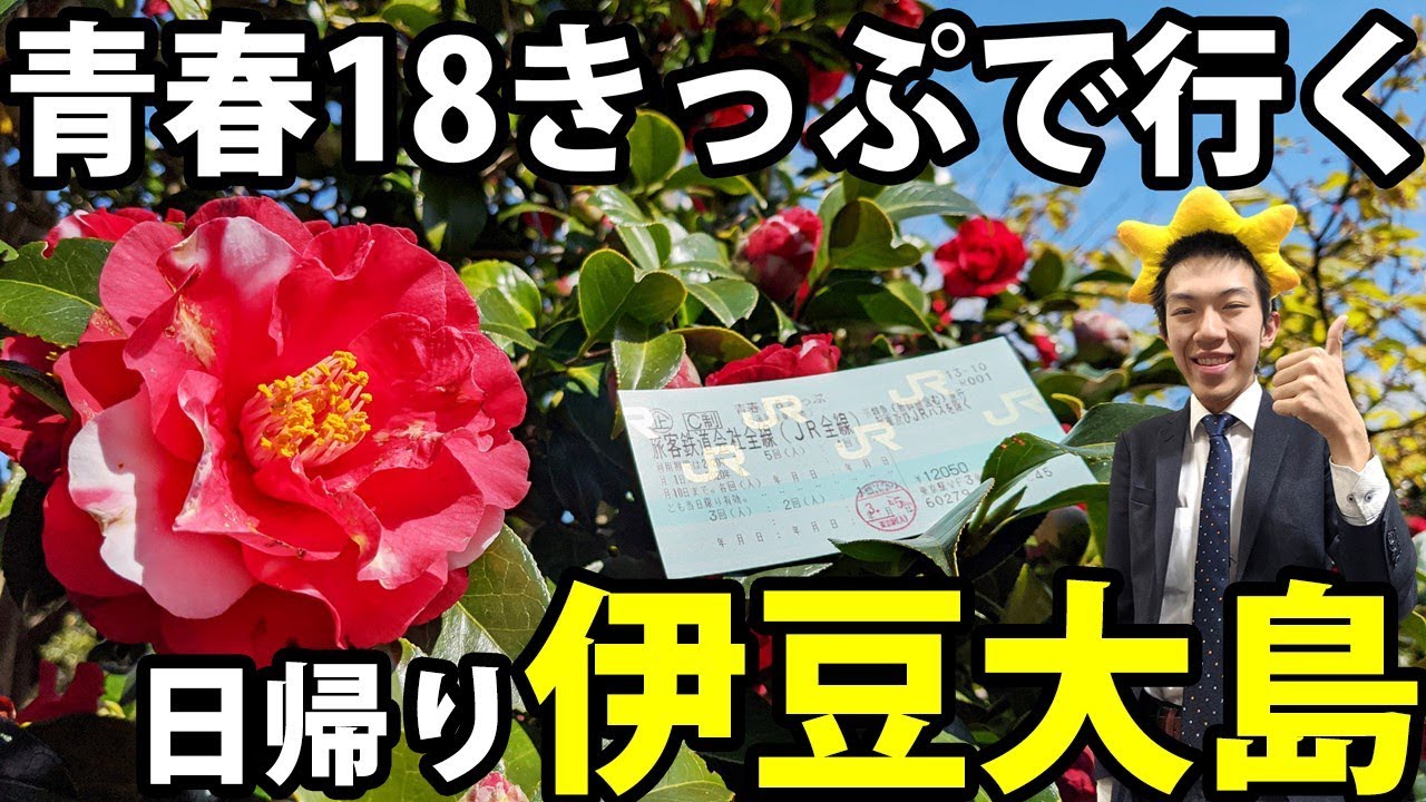 【青春18きっぷ】伊豆大島の椿まつり＆伊東温泉　コスパ重視の旅《東京駅～岡田港》