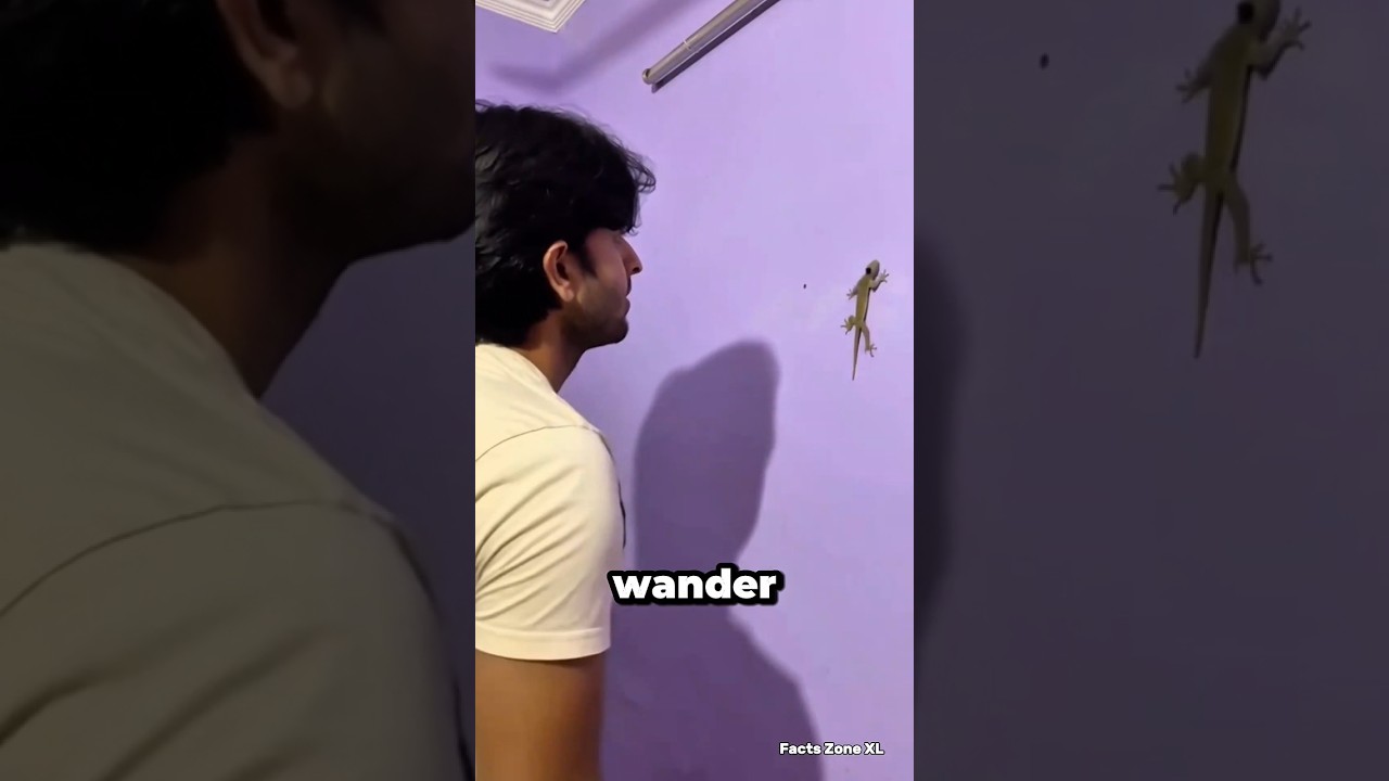 Они прикрепили камеру к ящерице ‼️ А потом она увидела ЭТО 😳🦎