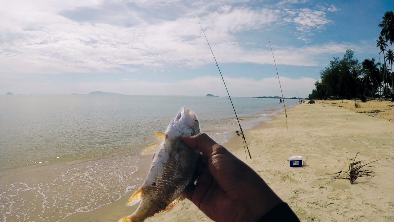 Surfcasting pantai | waktu terbaik mancing + healing di awal pagi | {#108}