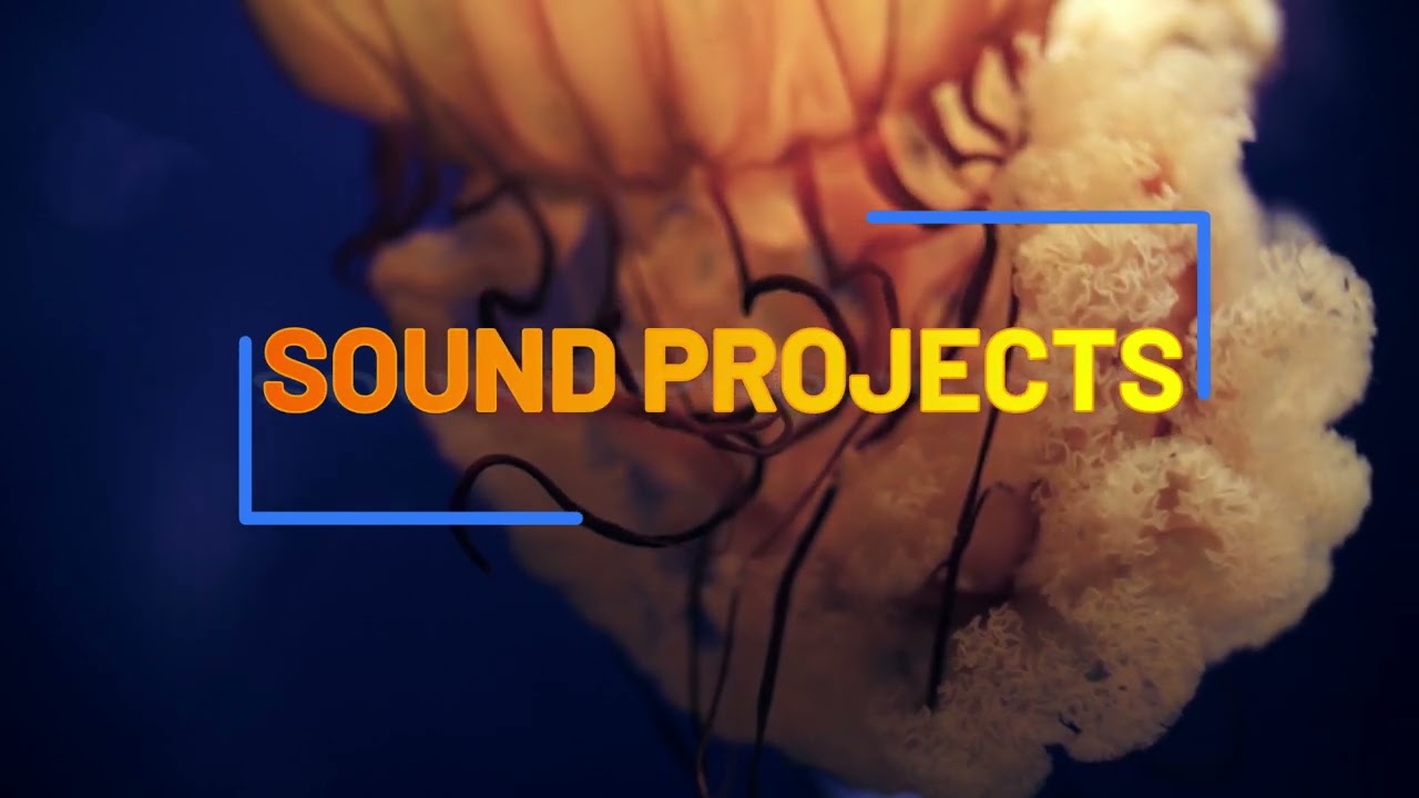 SOUND MUSIC PROJECTS 11 OKTOBER 2024 #music #musikdj #musik #musikviral