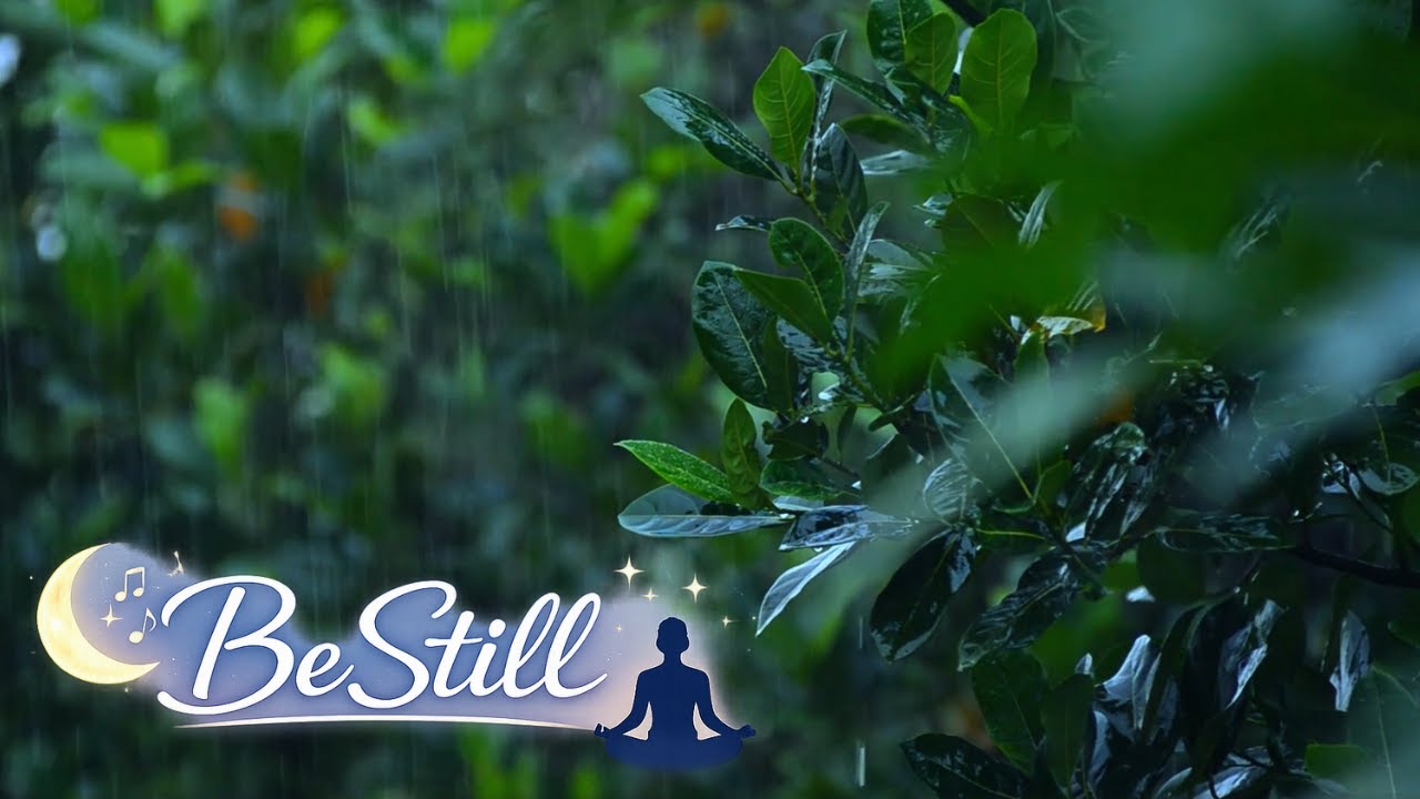 Gentle Rainfall with Soft Piano 🌧️ 7 Hours of Calm for Sleep, Study & Relaxation
