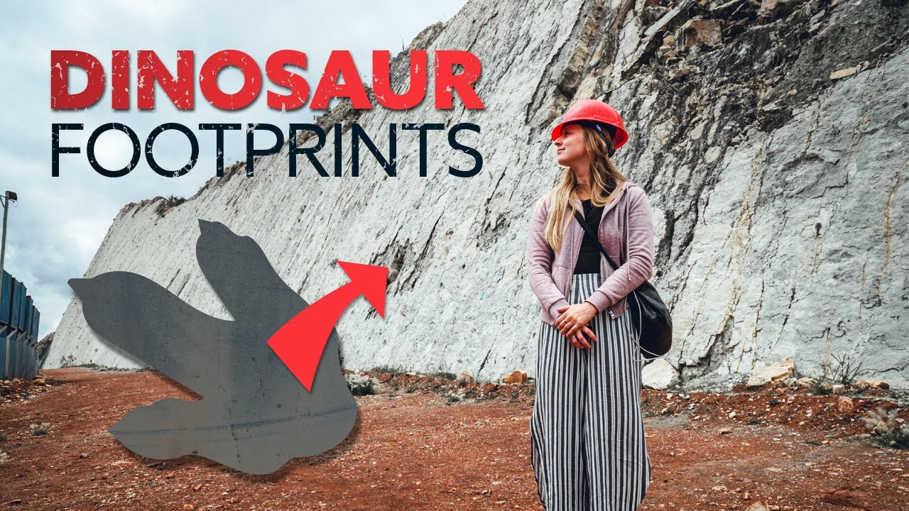 World's Largest Area of Dinosaur footprints - Parque Cretácico Sucre