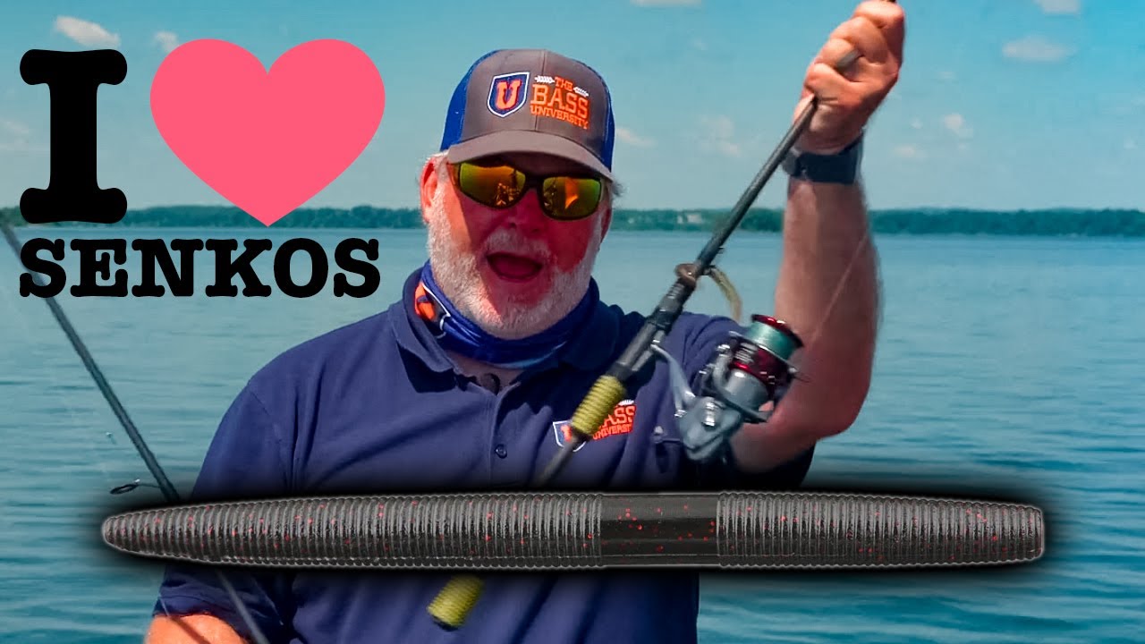 Wacky VS Texas Rig: советы по ловле окуня на приманку Senko