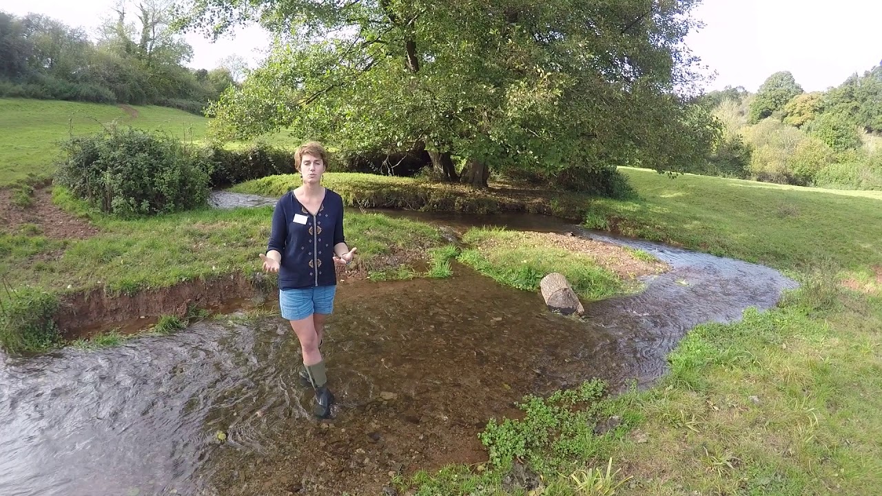 Welcome to Woodford Meanders