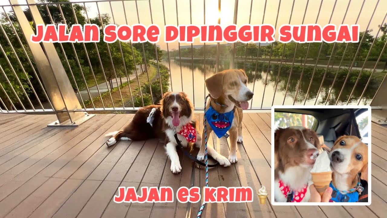 RYUKI RAIDEN JALAN-JALAN DIPINGGIR SUNGAI & JAJAN ES KRIM‼️😍