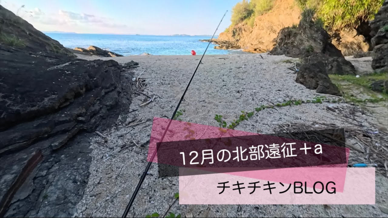 ［沖縄］12月の北部遠征＋a［ルアーフィッシング］#沖縄 #釣り #ルアー釣り #fishing #fishingvideo
