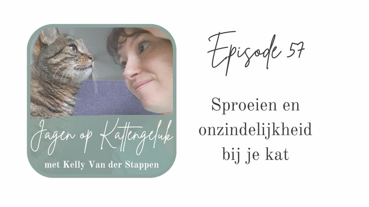 Sproeien en onzindelijkheid bij je kat #57