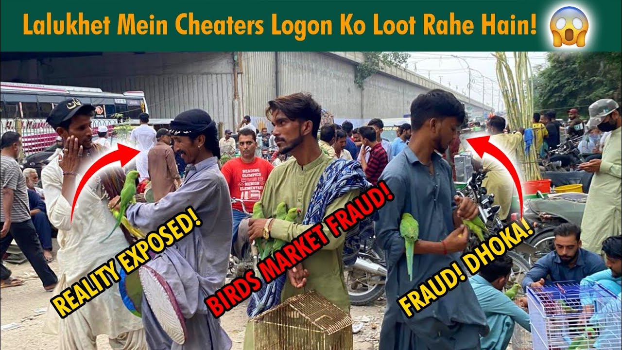 Cheaters Logon Ko Loot Rahe Hain! 😡 | Mein Parinda Nahi Paloun Ga? | PBI Official