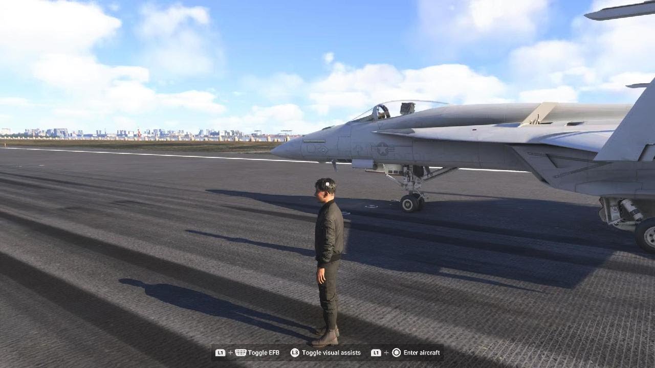 Microsoft Flight Simulator 2024_20260116161529