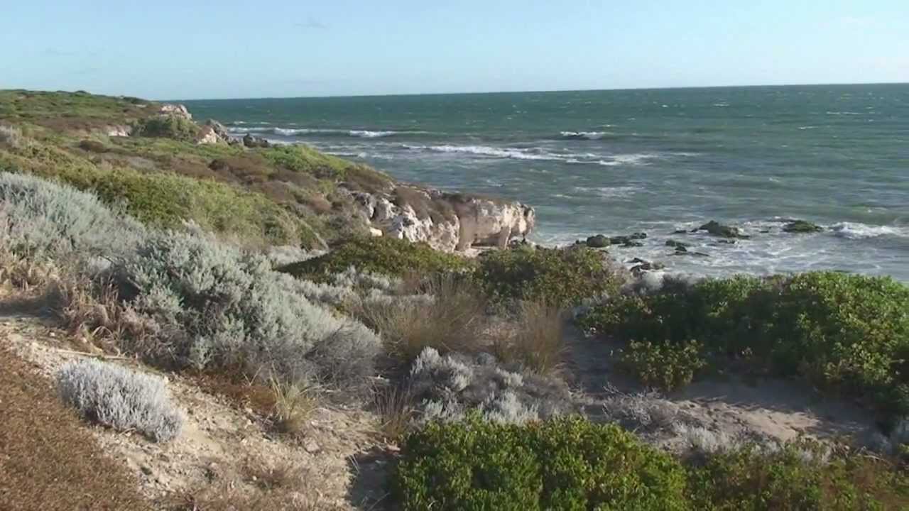 Australian Vibrations