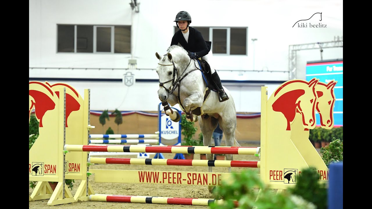 For Treasure VDL Stud Stallion Show 2021