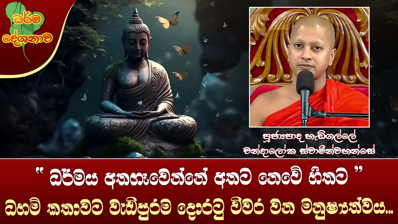 Ven Hadigalle Chandaloka Thero | 2023-09-13 | 4:00PM (ධහම් කතාවට දොරටු විවර වන උතුම් මනුෂ්‍යත්වය...)
