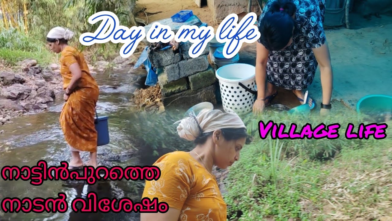 village life family vlog channel 🥰 day in my life🥰❤️❤️ family channel Malayalam vlog🥰🥰