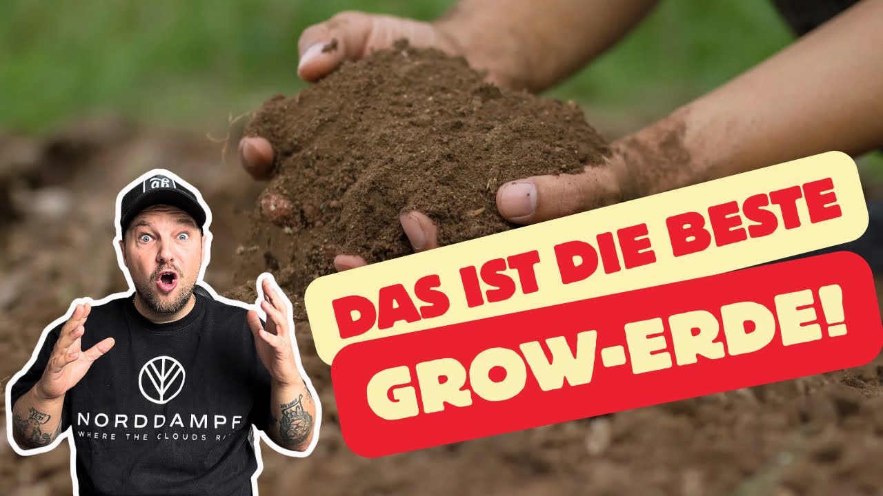 Cannabis anbauen! Was ist die beste Growerde f&uuml;r deine Pflanze? DIY Erde herstellen oder kaufen?