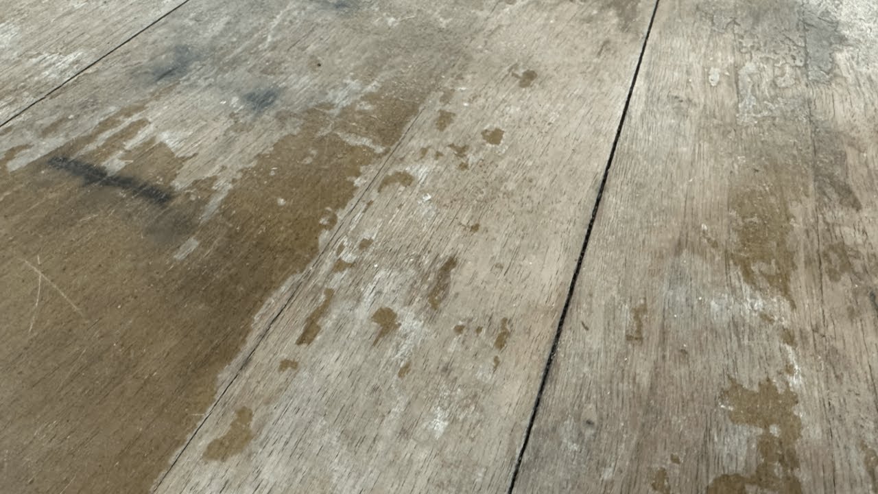 Wow! WATER DAMAGE!!