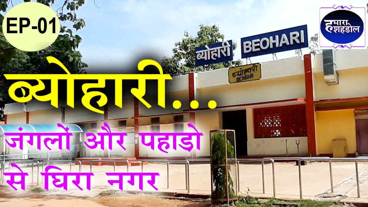 Beohari Town EP-01 | ब्योहारी नगर | Beohari Vlogs | #beohari | Hamara Shahdol