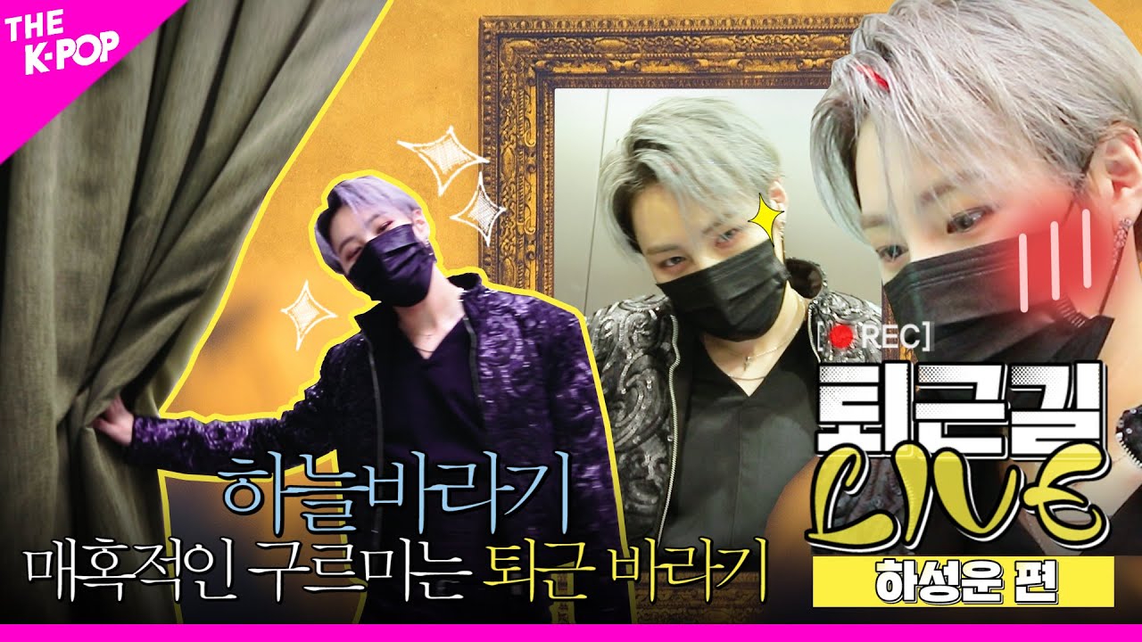 [퇴근길 LIVE] 🌻하늘바라기 매.혹.적.인 구르미☁는 퇴근 바라기🌻