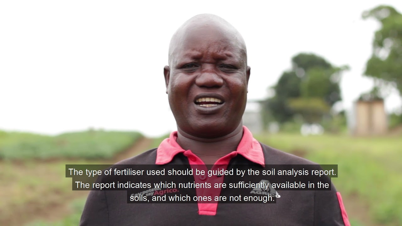 012 Potato Growing   Nutrition and Top Dressing