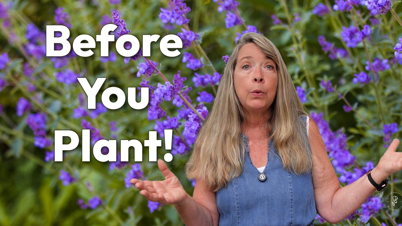 12 Things You Need to Know Before Growing Nepeta (Catmint)