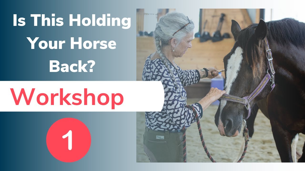 Is Your Horse Tense? Help them Relax with these Exercises