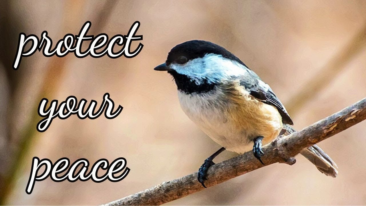 Background Piano to Help You Unwind and Relax | Soothing Visuals | Reset Refocus for a Better Day