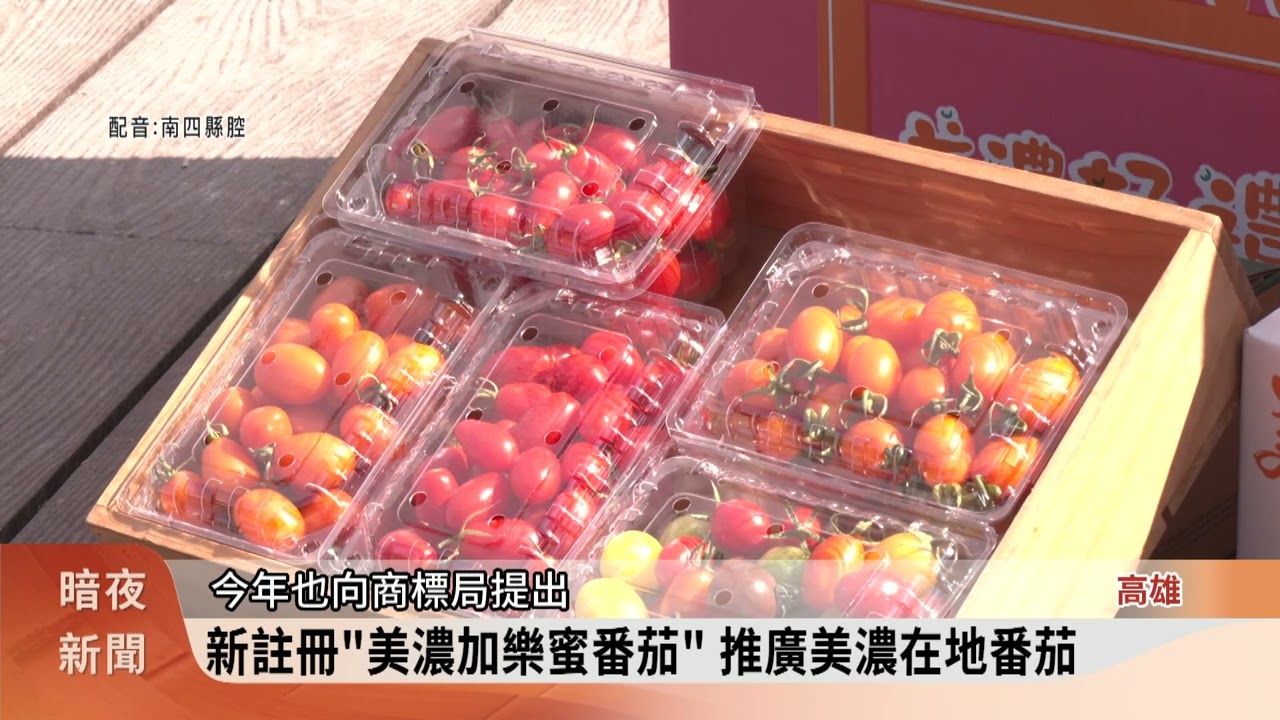 美濃小果番茄評鑑賽 宋國智.陳品彤奪冠【客家新聞20260123】