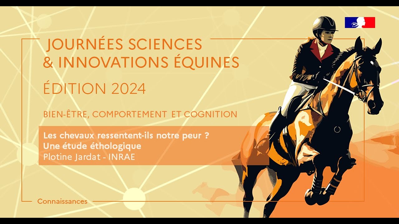 Les chevaux ressentent-ils notre peur ? Une étude éthologique - Plotine Jardat