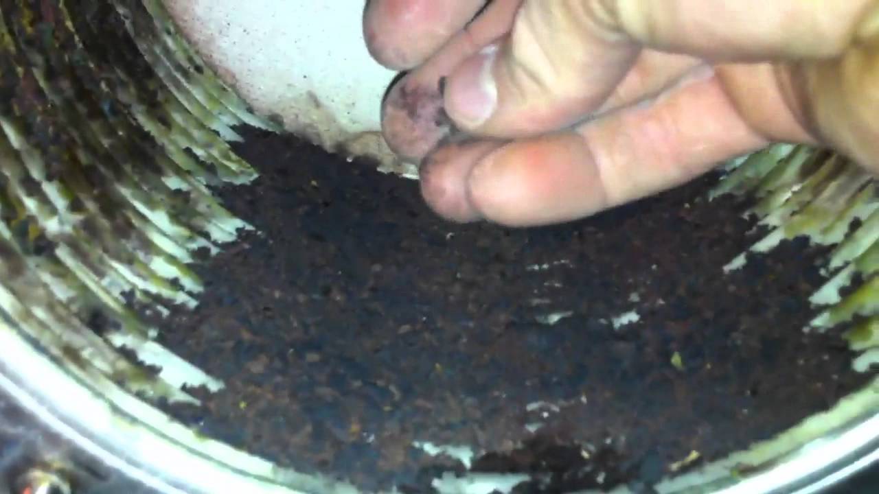 Trinity NTI Ti150 cleaning