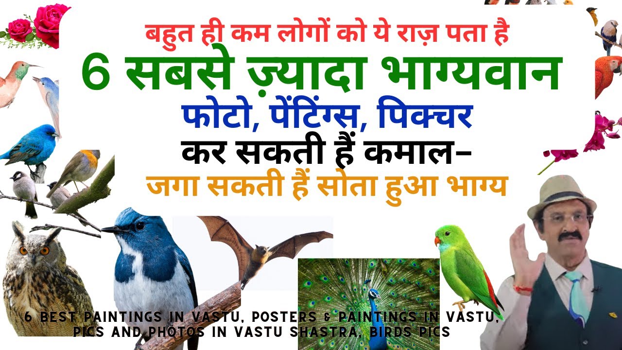 6 best paintings in vastu, Posters & Paintings in Vastu, pics and photos in vastu shastra, Birds pic
