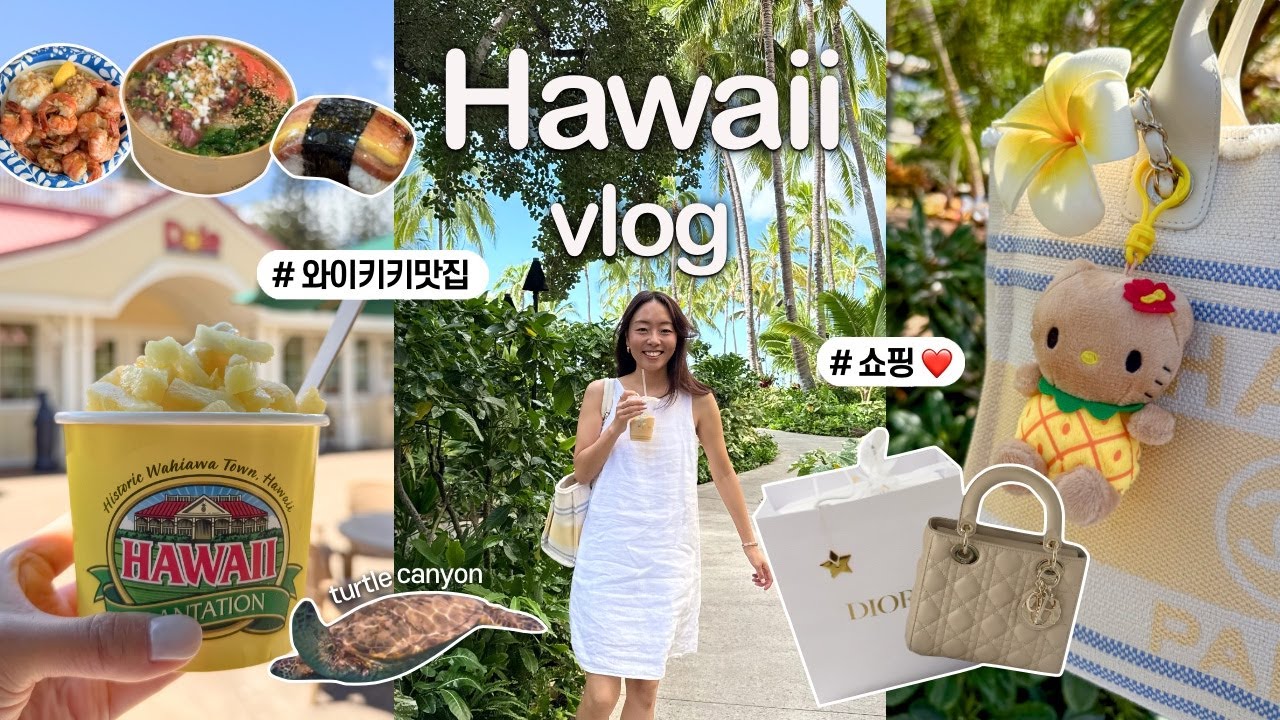하와이 여행 브이로그 ep.1 🌈  와이키키 & 노스쇼어 드라이브, 오아후 맛집 추천, 거북이 스노클링, 디올 쇼핑, 돌 파인애플 농장, Hawaii Oahu Trip VLOG