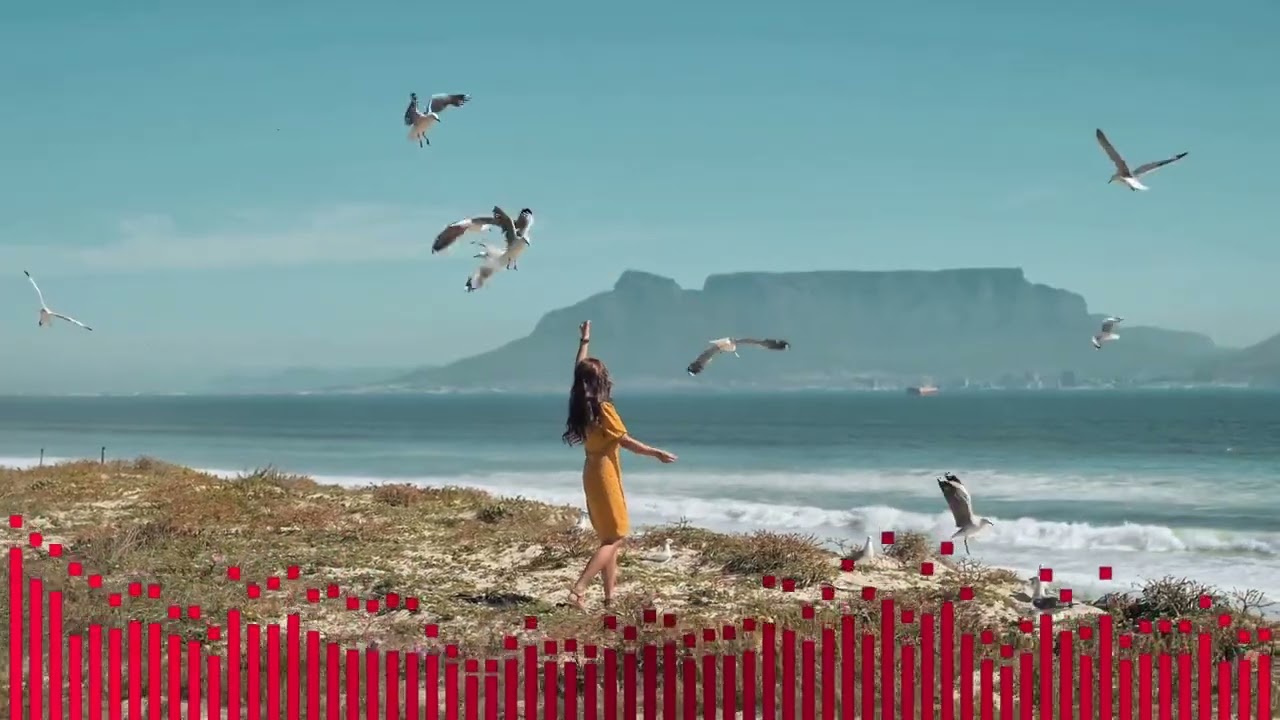 თოლიები მიფრინავენ შორი შორს toliebi mifrinaven shori shors REMIX. 2025 #საუკეთესო 