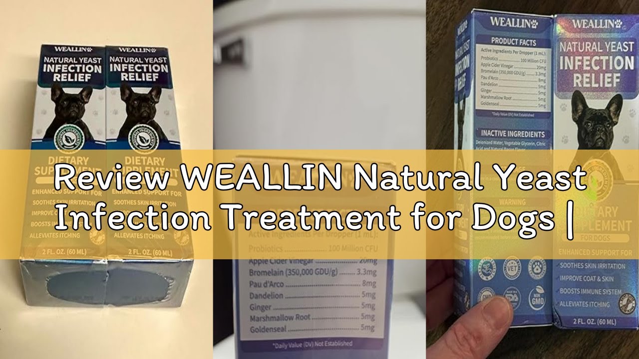 Review WEALLIN Natural Yeast Infection Treatment for Dogs | Probiotic-Powered Drops with 8-Herbal Bl