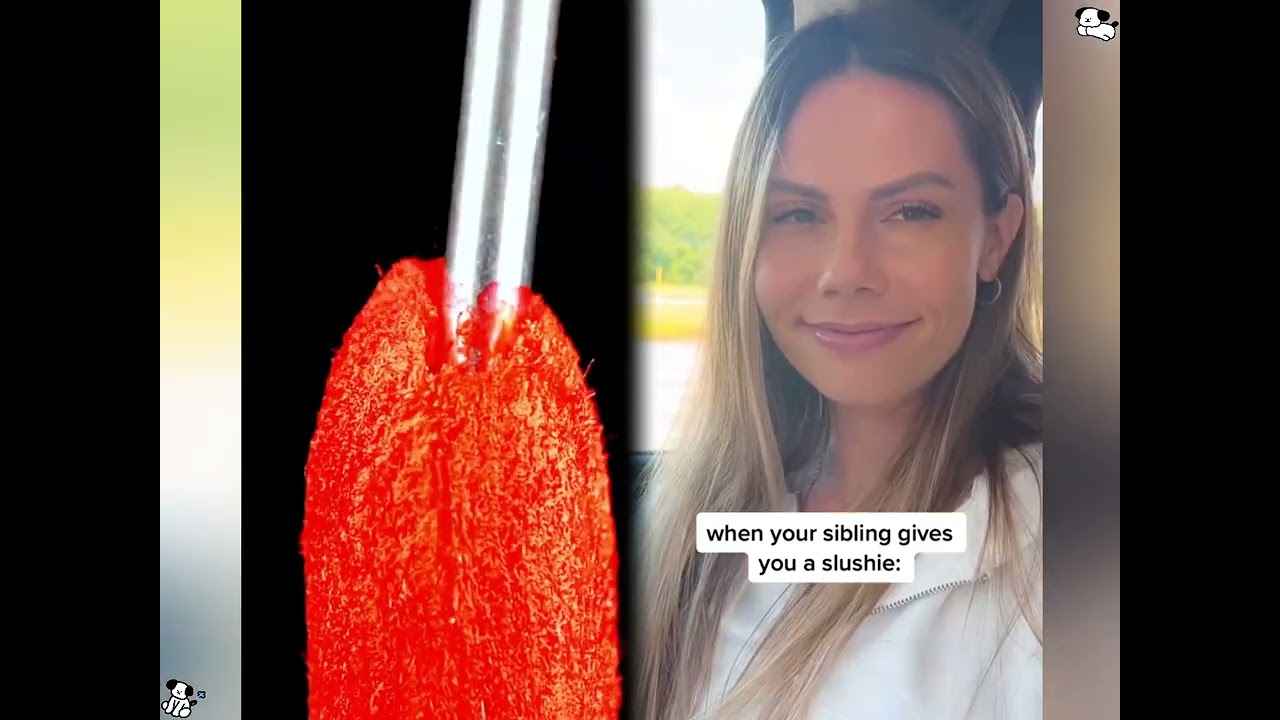 🤣👌👌👌2026 pov Must-Watch Crazy Clips Compilation #humor #fypシ #pov #fyp #foryou 😍😜