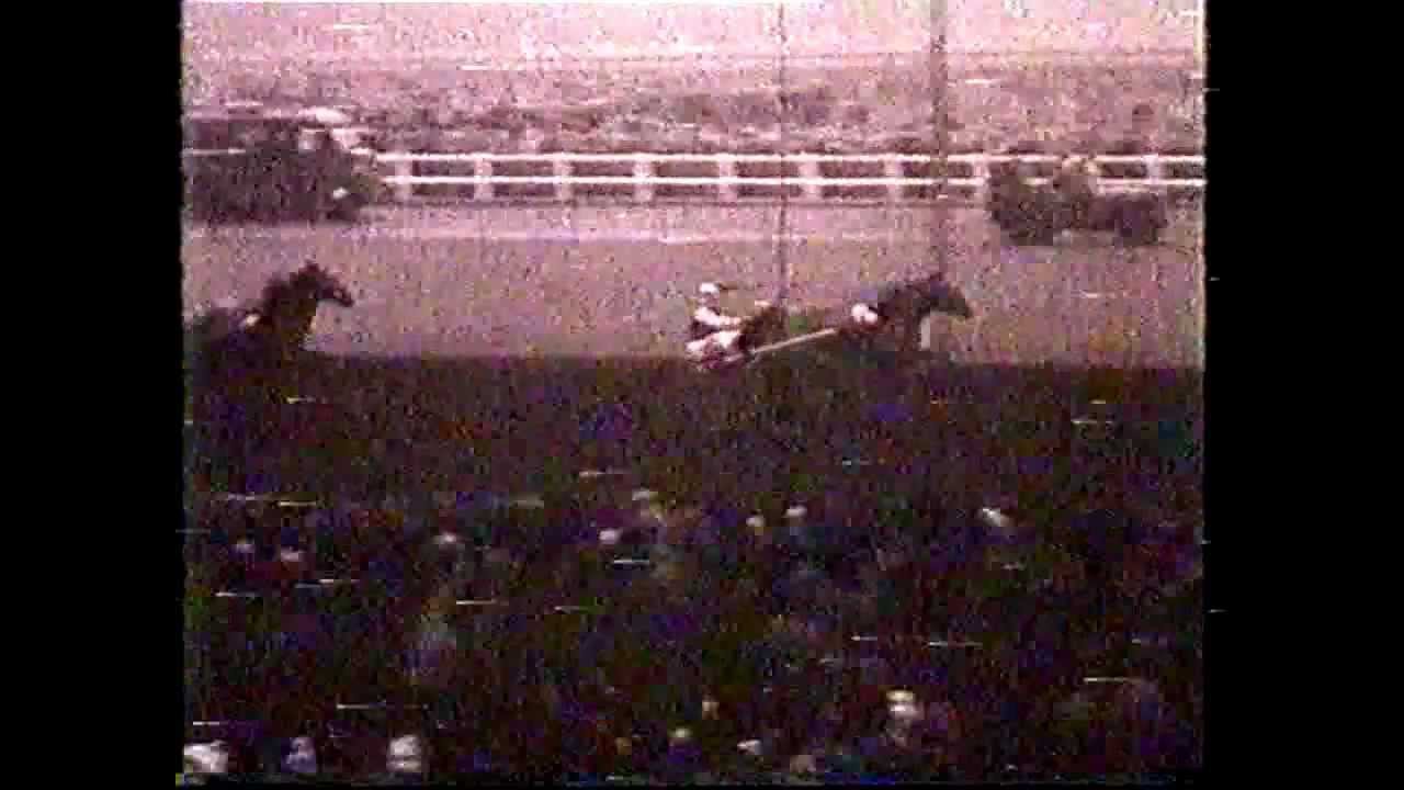 Prix d'Am&eacute;rique 1953_Permit_Walter Heitmann_the best Prix d'Am&eacute;rique winner