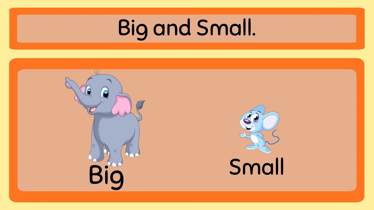 Learning big and small.