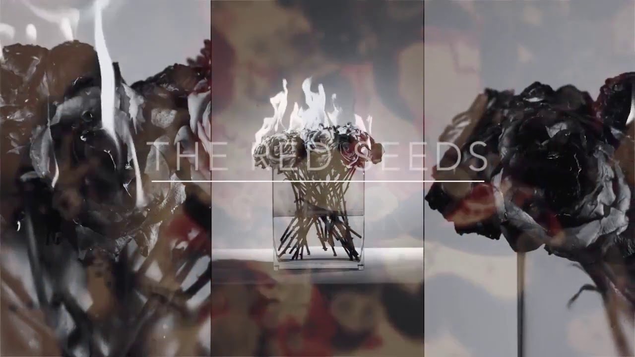 Red Seeds - Sahar