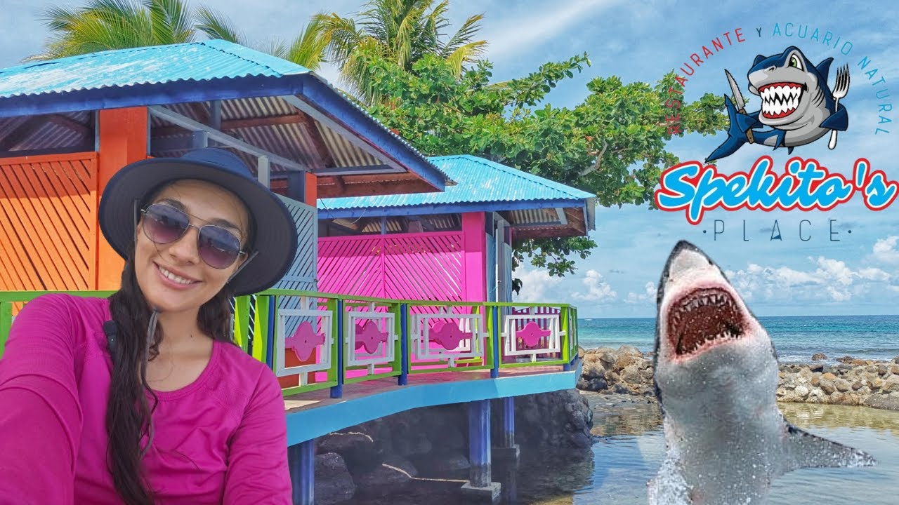 Fuí a comer y terminé alimentando TIBURONES - CORN ISLAND