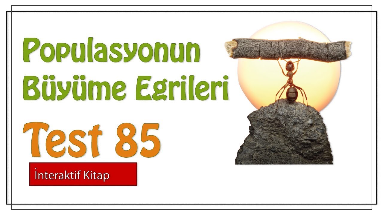 Test 85 #sayfa189