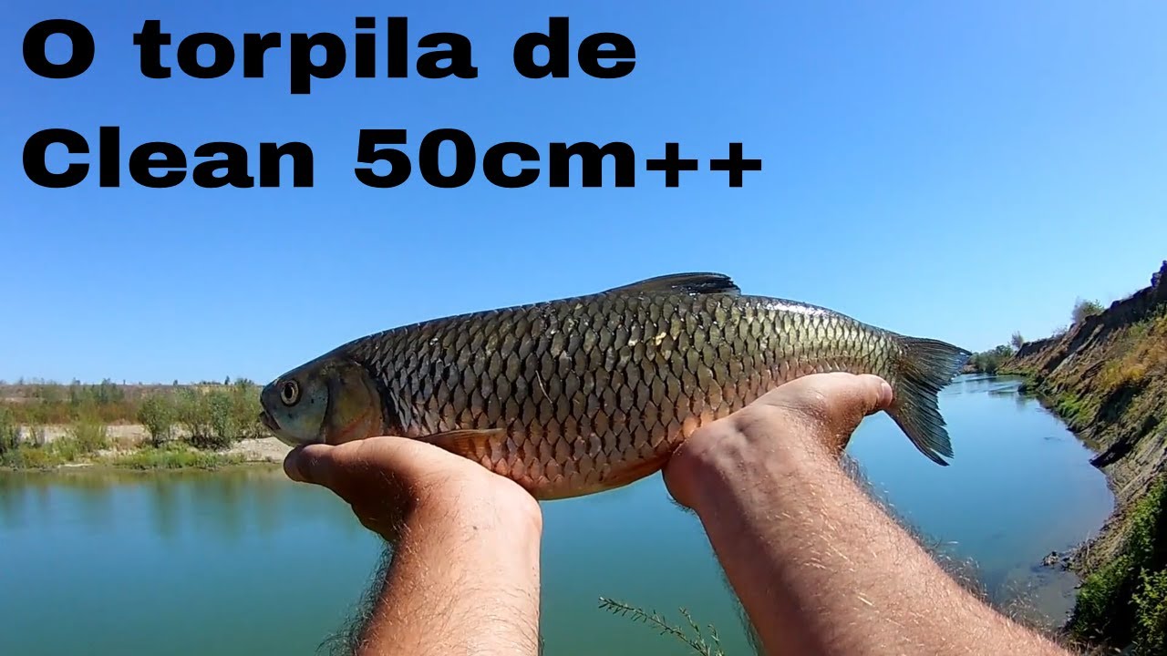 La pescuit pe Arges prin locurile copilariei + o torpila de Clean