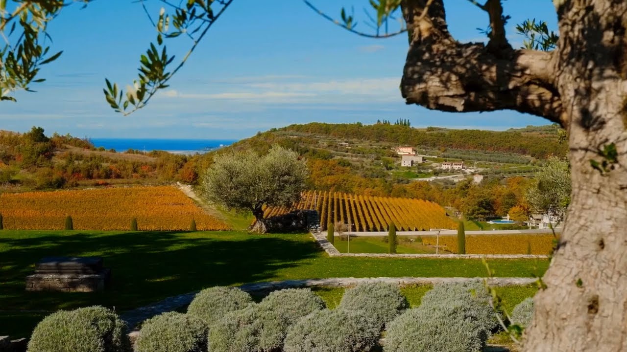 Bel'Istria - Luxury experiences in Istria, Croatia