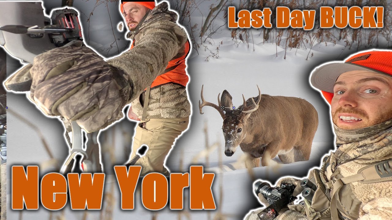 New York Bowhunting - Last Day Buck