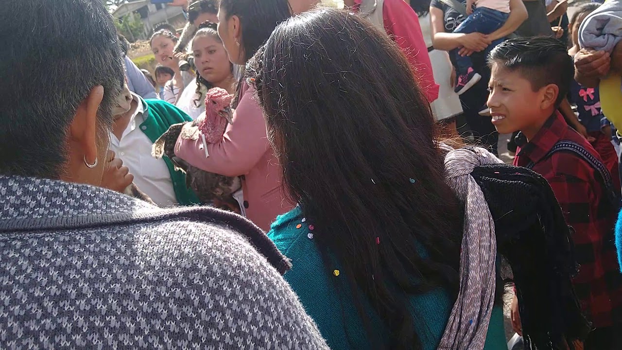 CHOTEJE  011V14 & 731193