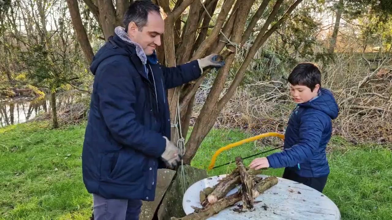 CAIU UMA ÁRVORE NO NOSSO JARDIM!