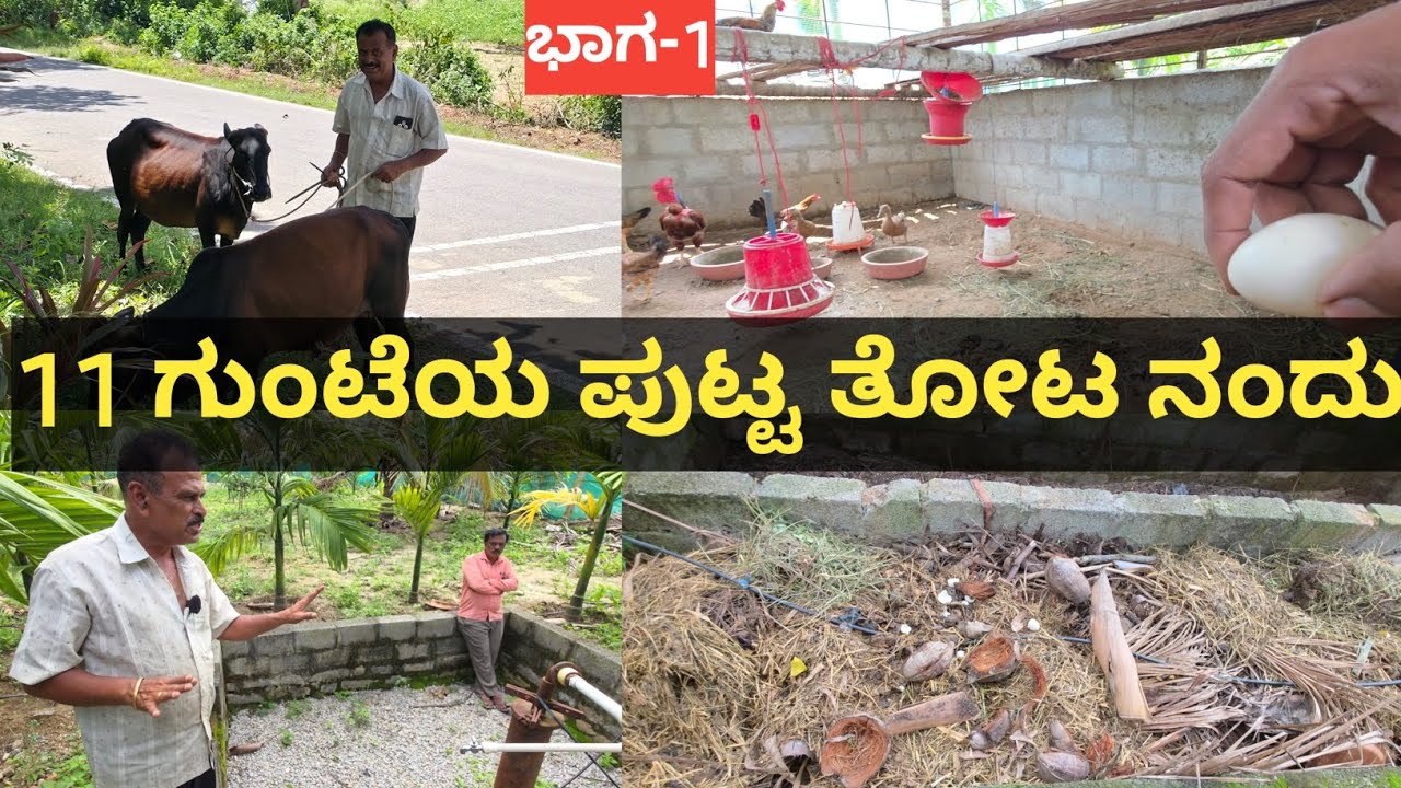 ಪುಟ್ಟ ತೋಟದಲ್ಲಿ ಏನೆಲ್ಲಾ ಮಾಡಿದ್ದೀನಿ ಗೊತ್ತಾ ಎರೆಹುಳು ತೊಟ್ಟಿ ಎರೆ ಜಲ ಬೋರ್ ವೆಲ್ ರಿಚಾರ್ಜ್ ಕೋಳಿ ಸಾಕಾಣಿಕೆ ಹಸು