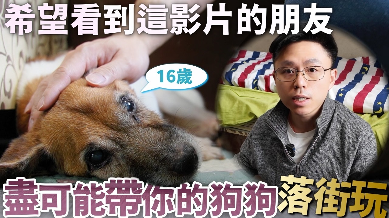 珍惜眼前狗...｜vlog
