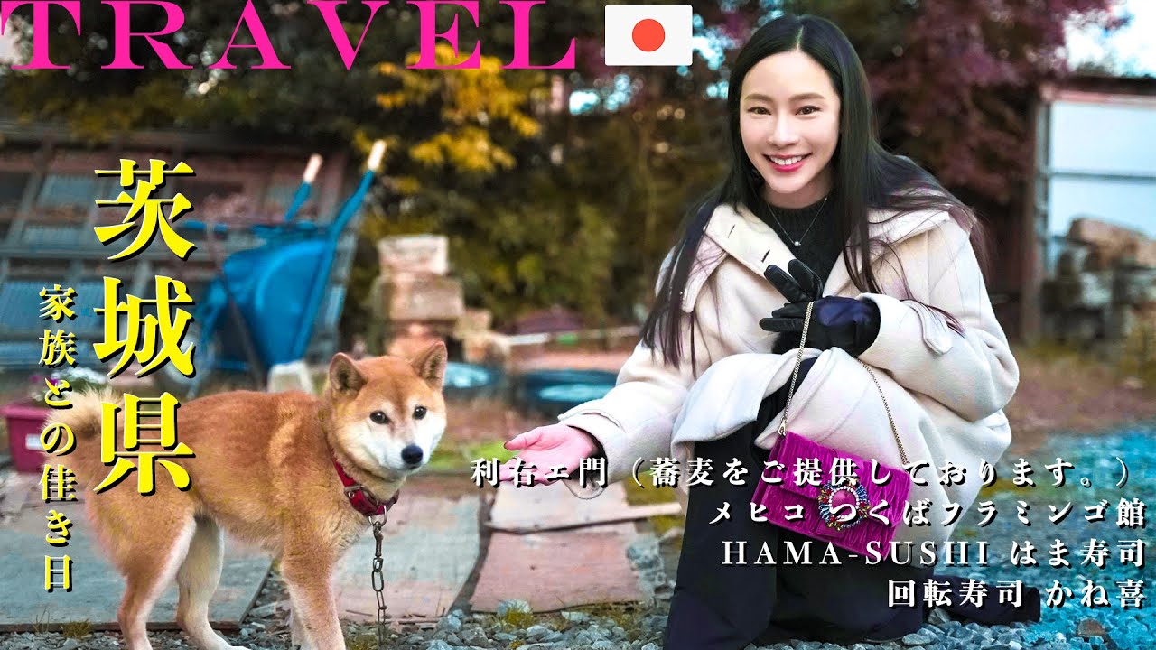 【日本🇯🇵茨城土浦旅行 Ep.4】誕生日サプライズ企画🎂｜猫散歩🐱｜絶対に食べるべきカニ料理🦀｜りうこもん：そば｜様々な価格帯の回転寿司🍣｜お土産開封：ブラシセット、靴下｜NinaWen Travel