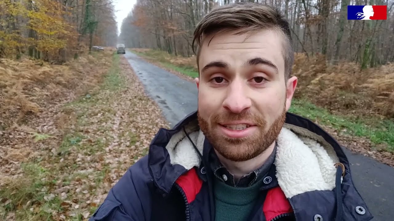 VLOG : comment se déroule une coupe de bois à l'ONF ?