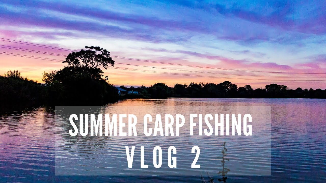 SUMMER CARP FISHING - VLOG 2