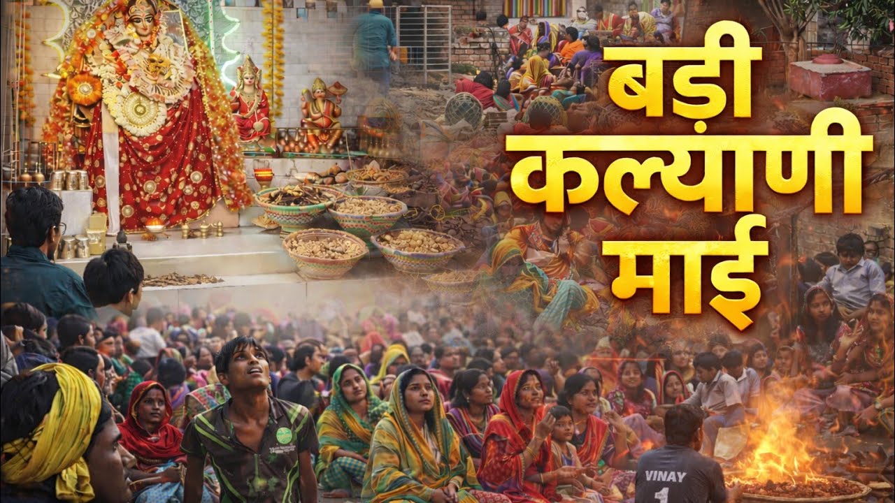 #VIDEO बड़ी कल्याणी में के दरबार में सभी भक्त दुआ मांगते हुए #navratri #Badidurgamai #bhaktisong